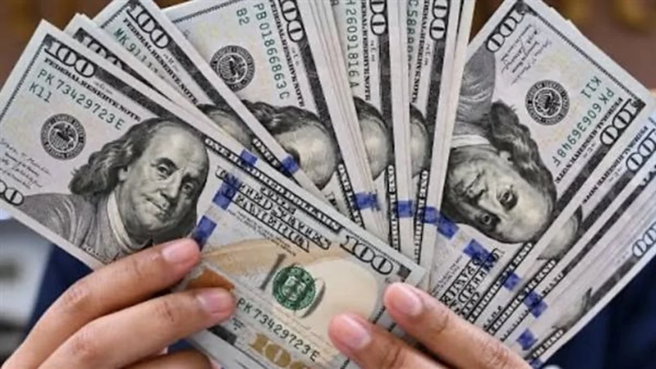 سعر الدولار في البنوك المصرية اليوم الثلاثاء 14 يوليو